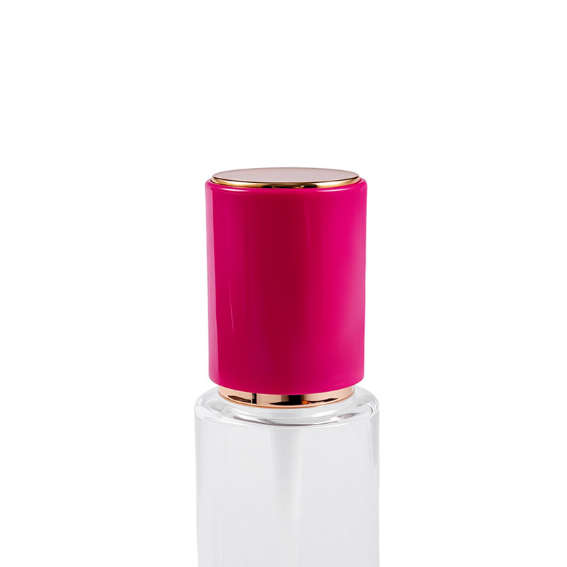 Pompa semprot dengan elemen pompa pegas bawaan Pompa semprot dengan elemen pompa pegas bawaan